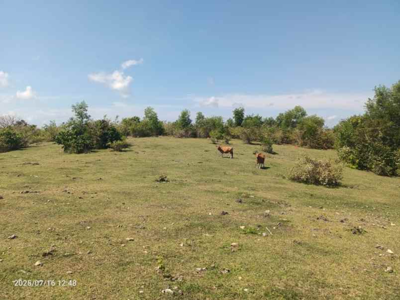 disewakan tanah kutuh badung bali