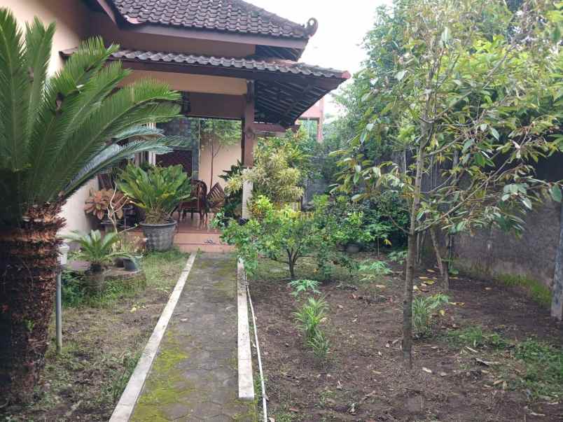 homestay tanah luas dekat malioboro jogja kota