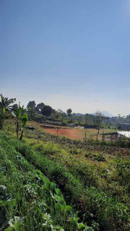 jual cepat tanah 420 m2