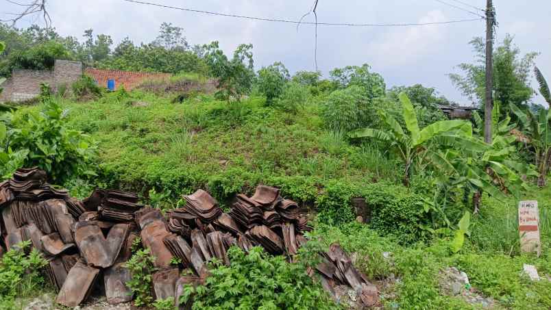 jual dan sewa tanah mangunharjo raya dekat citra grand