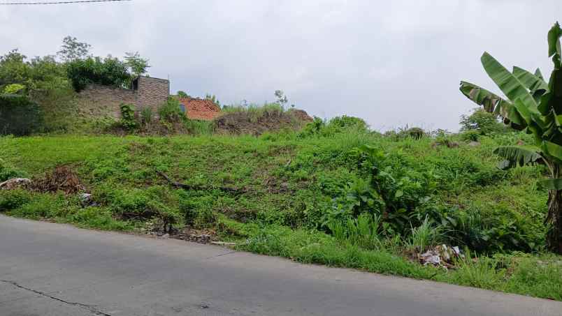 jual dan sewa tanah mangunharjo raya dekat citra grand