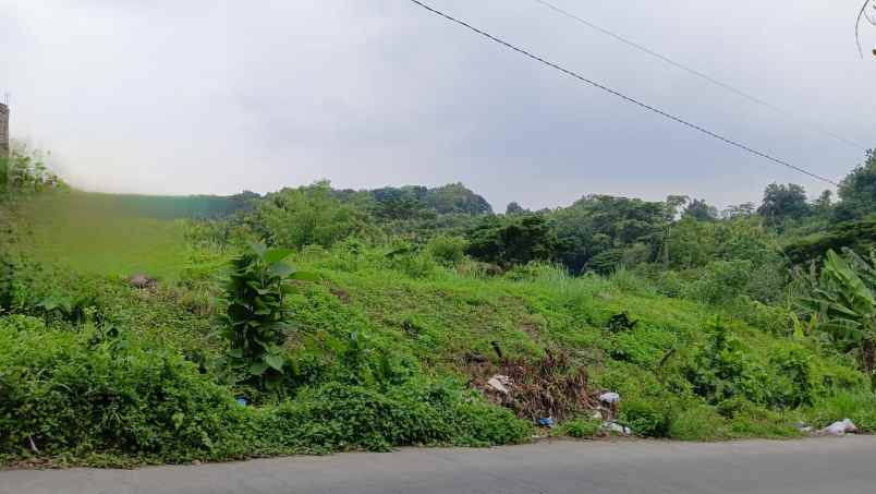 jual dan sewa tanah mangunharjo raya dekat citra grand