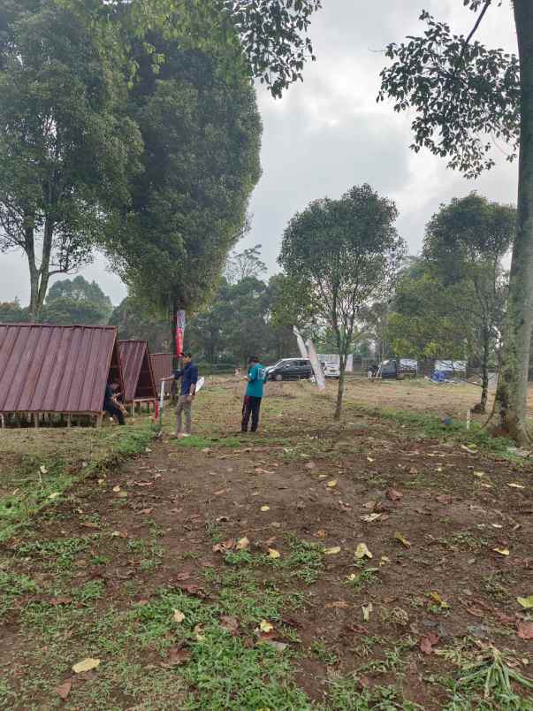 jual tanah dekat akses wisata dan ada air terjun