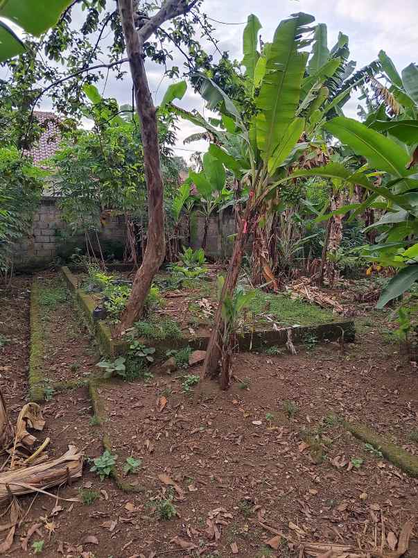 jual tanah kebun cocok untuk kos dan kontrakan