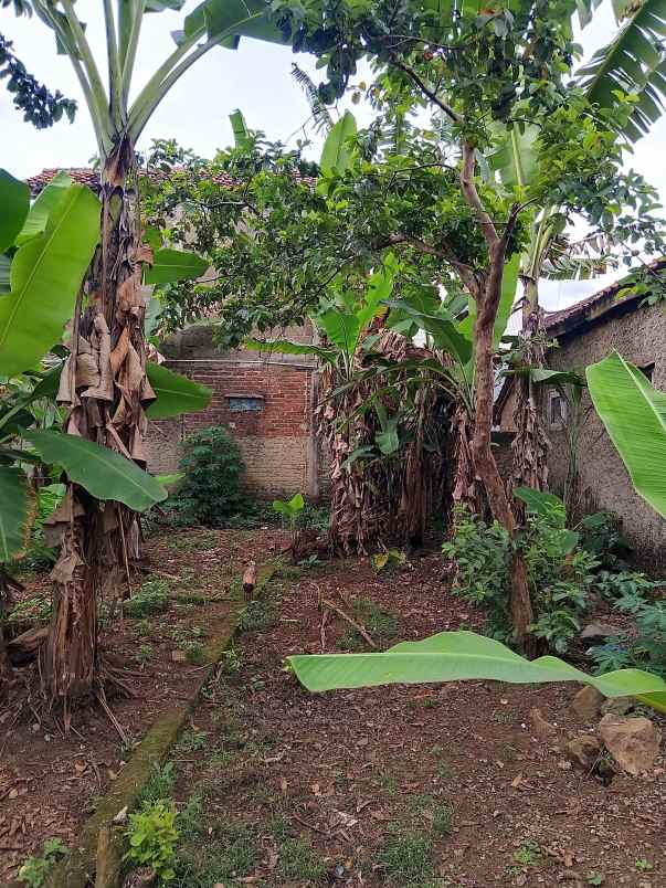 jual tanah kebun cocok untuk kos dan kontrakan