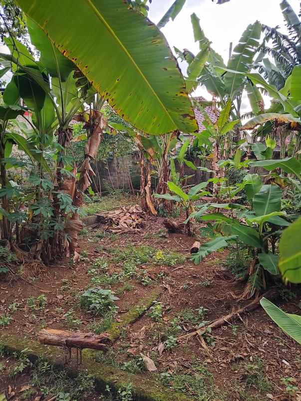 jual tanah kebun cocok untuk kos dan kontrakan