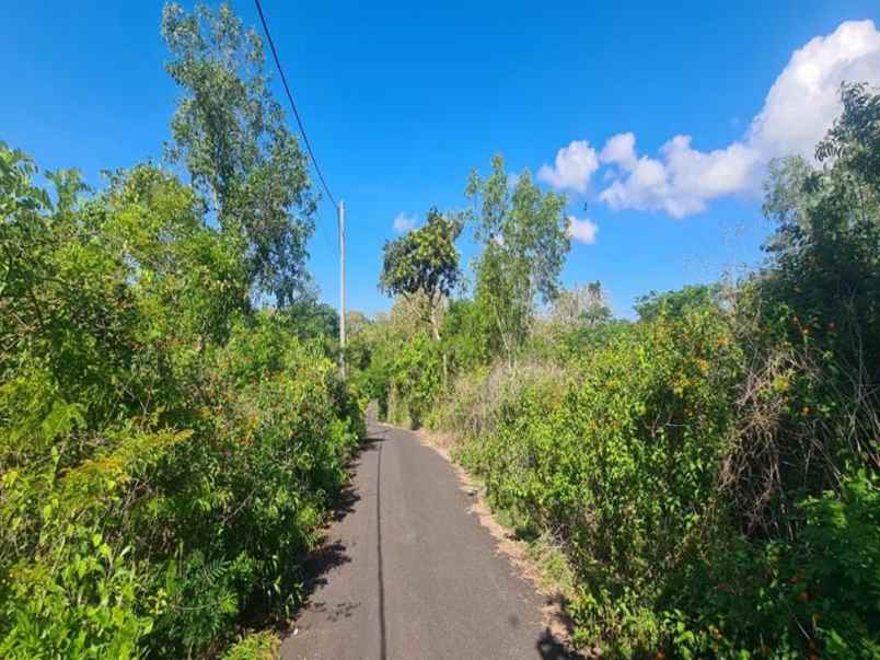 jual tanah kosong shm di jalan gayangsari badung bali