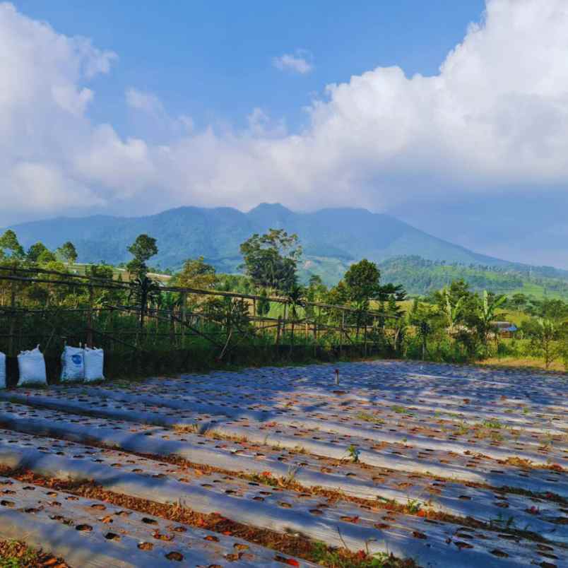 jual tanah murah cocok untuk villa di lembang