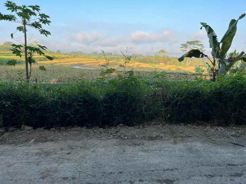 jual tanah sawah 6890m karanganyar