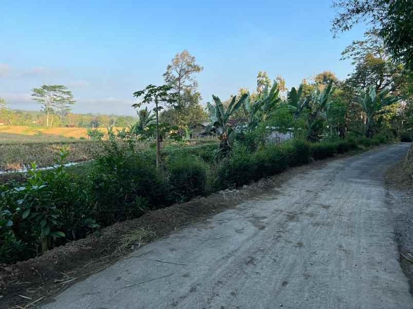 jual tanah sawah 6890m karanganyar