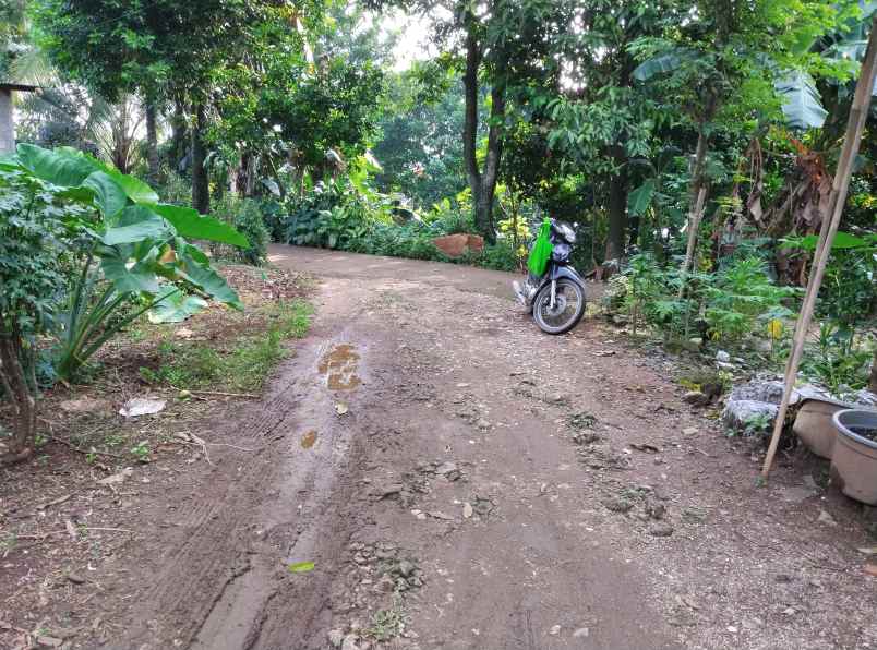 kapling tanah murah di klapanunggal