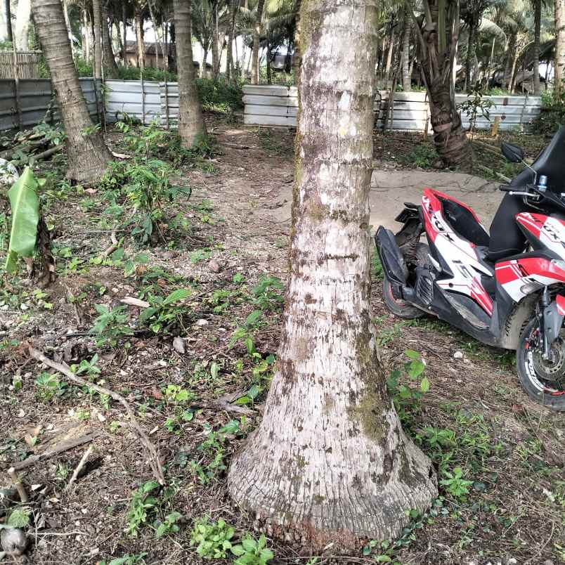 lahan kosong dekat dengan pantai