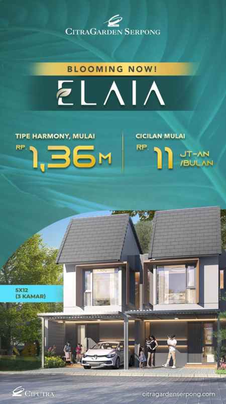 new launching cluster elaia