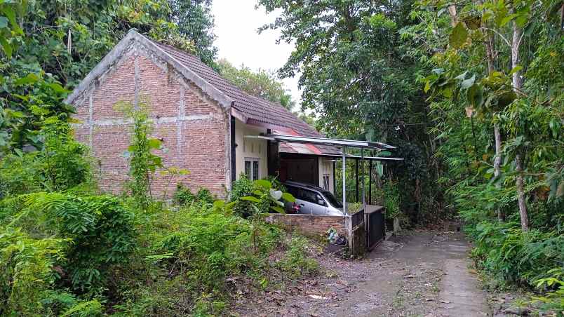 over kontrak rumah kpr btn