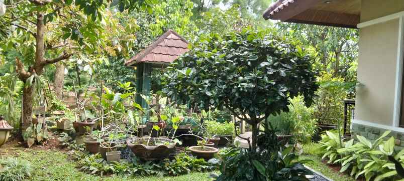 rumah di bukit pratama lebak bulus jakarta selatan