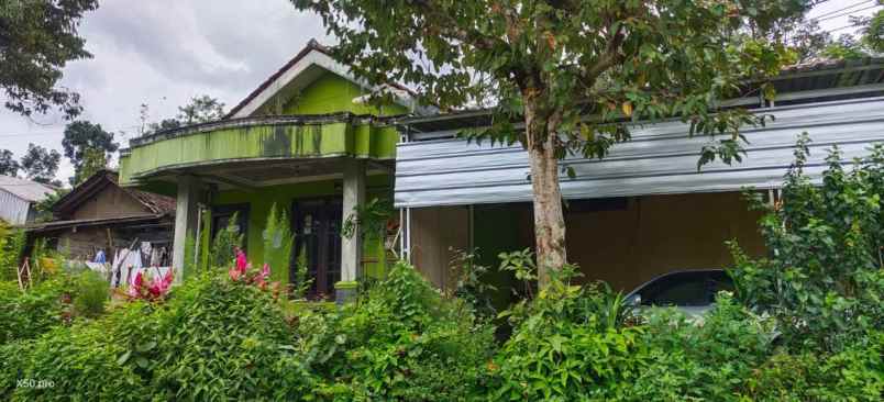 rumah gunungpati raya semarang