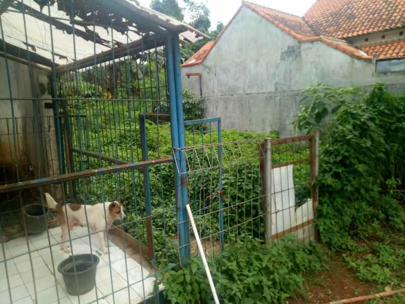 rumah lama 1 lantai cibubur jakarta timur