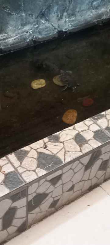 rumah mewah cigugur parongpong bandung barat