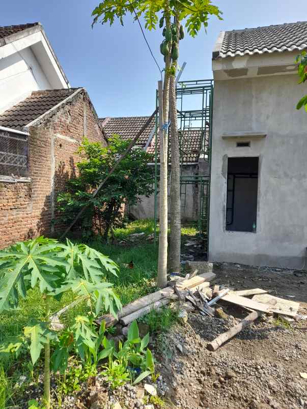 rumah murah 200jt luas tanah 96m peterongan jombang