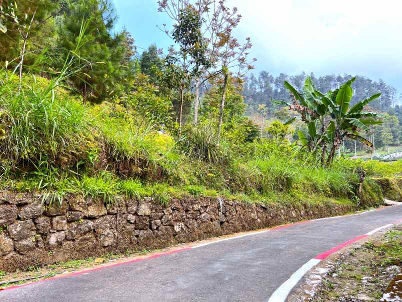 tanah 1000m kawasan hutan pinus kemuning karanganyar