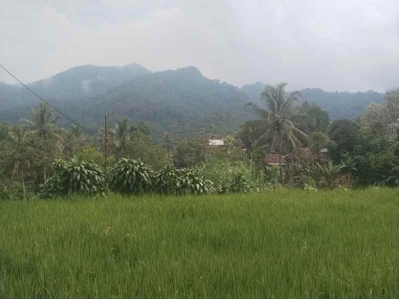 tanah ciater subang view pegunungan subang jawa barat