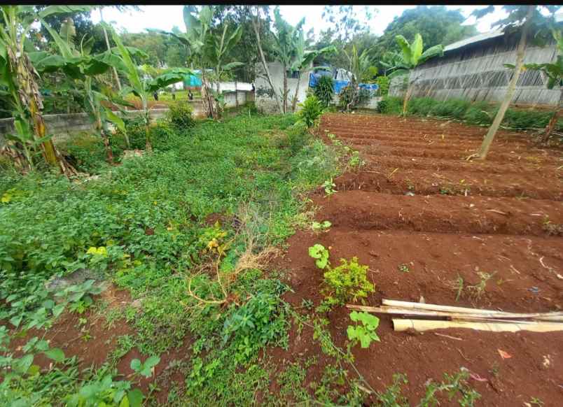 tanah datar kebun murah masuk mobil