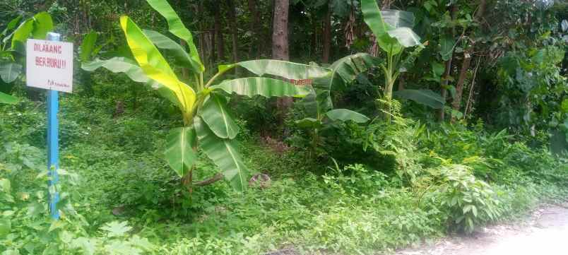 tanah dekat obyek kawasan wisata