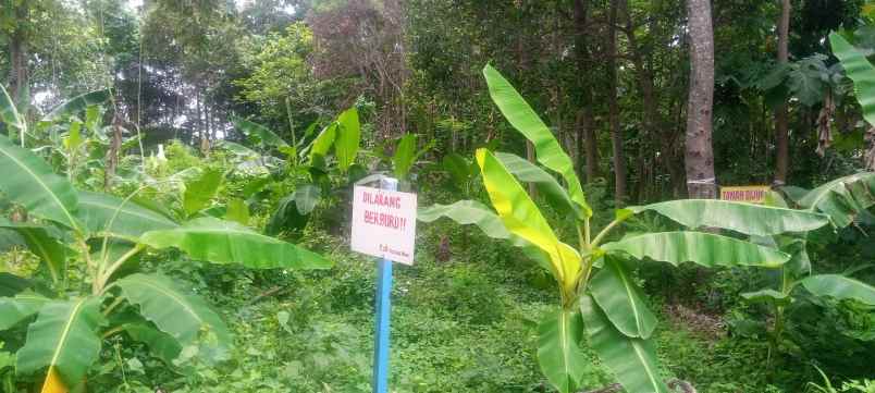 tanah dekat obyek kawasan wisata