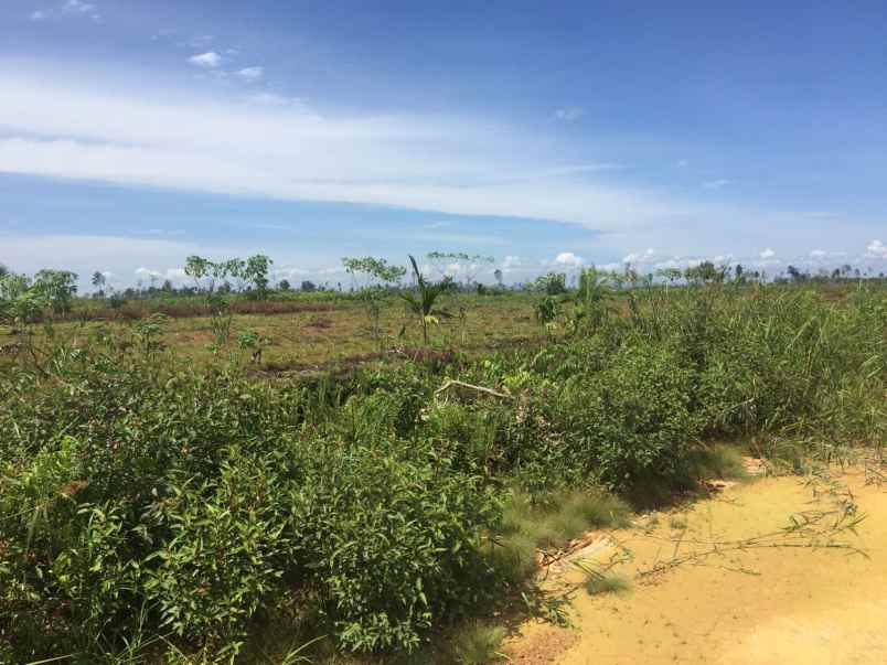 tanah dijual cepat bu di kubu raya pontianak