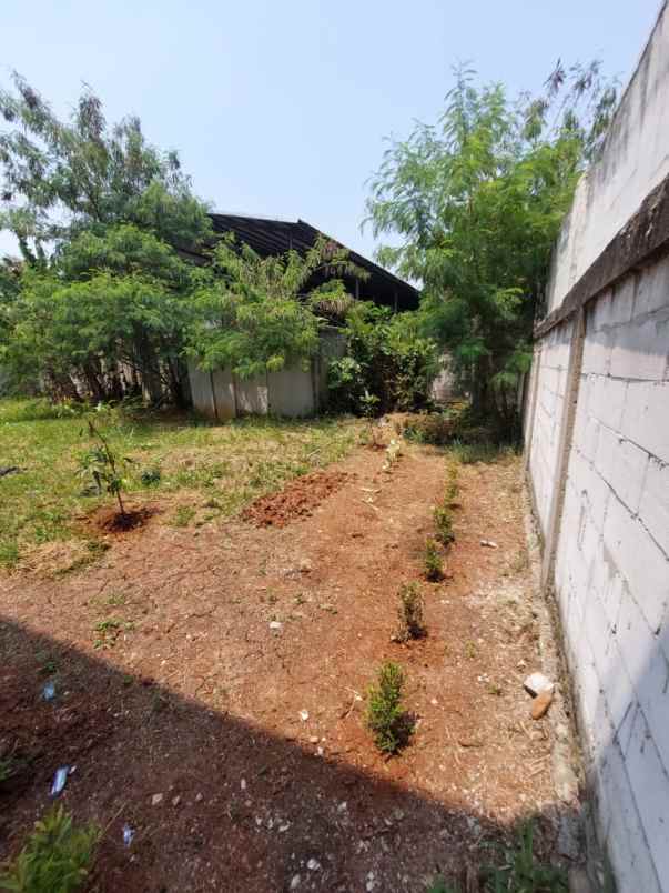 tanah dijual lokasi cisauk