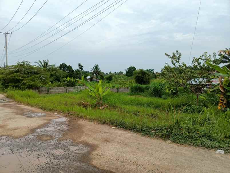 tanah dijual talang jambe luas 2400 m2