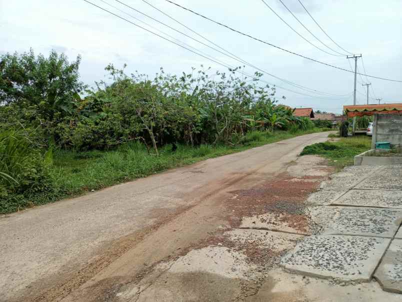 tanah dijual talang jambe luas 2400 m2