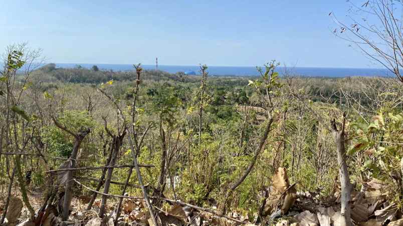 tanah disewakan murah super strategis di buleleng bali