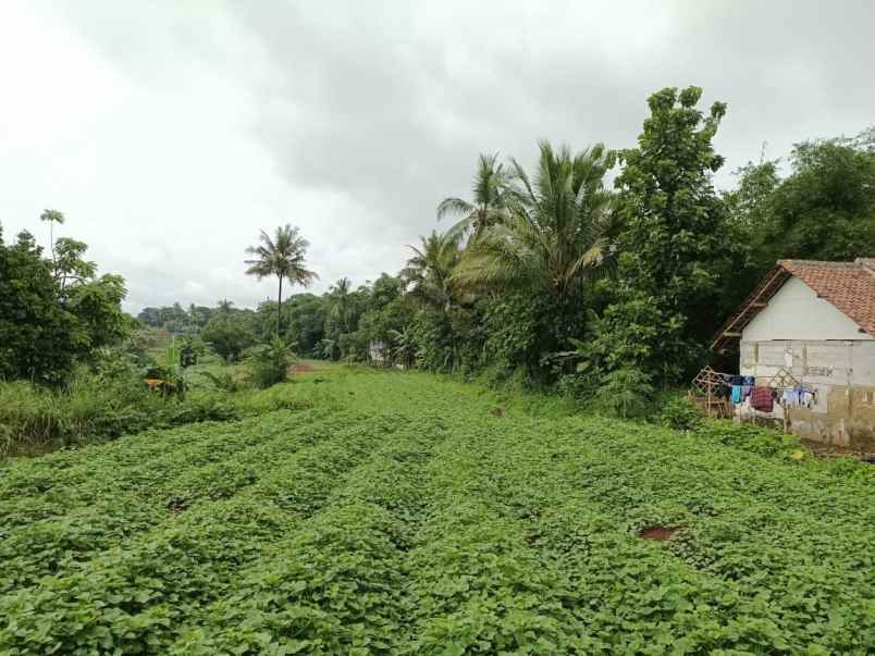 tanah jalan pasir gaok