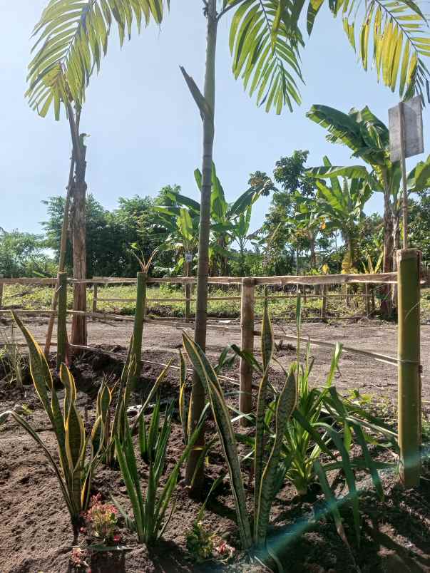 tanah kavling dekat pemukiman warga