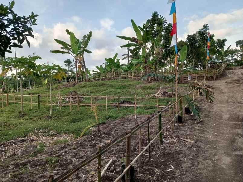 tanah kavling dekat pemukiman warga