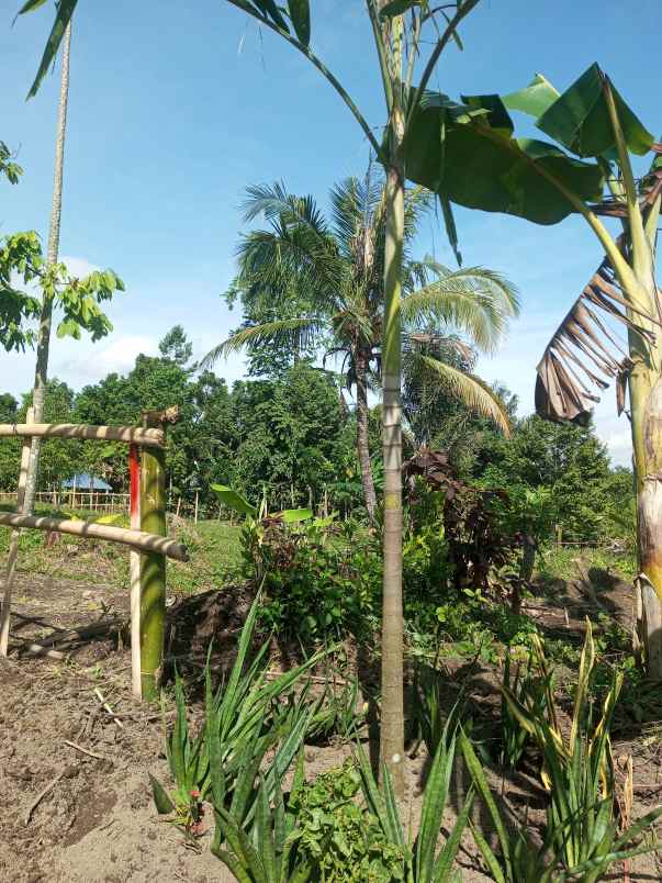 tanah kavling dekat pemukiman warga