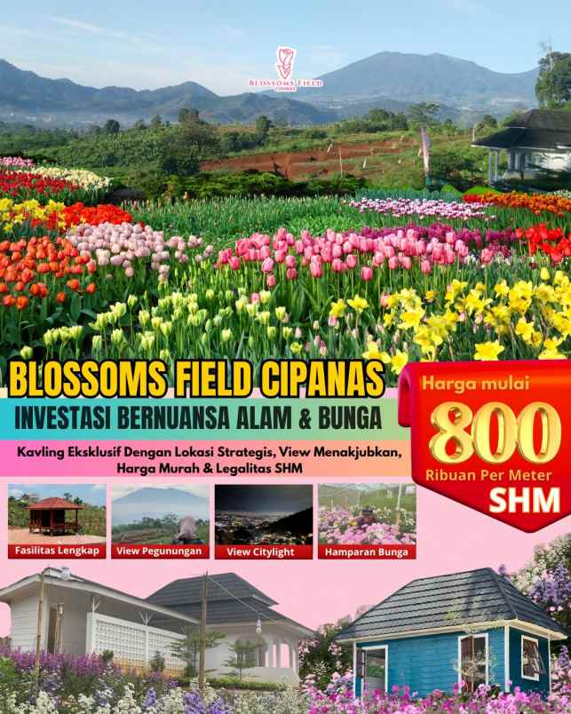 tanah kavling investasi di sukaresmi cianjur