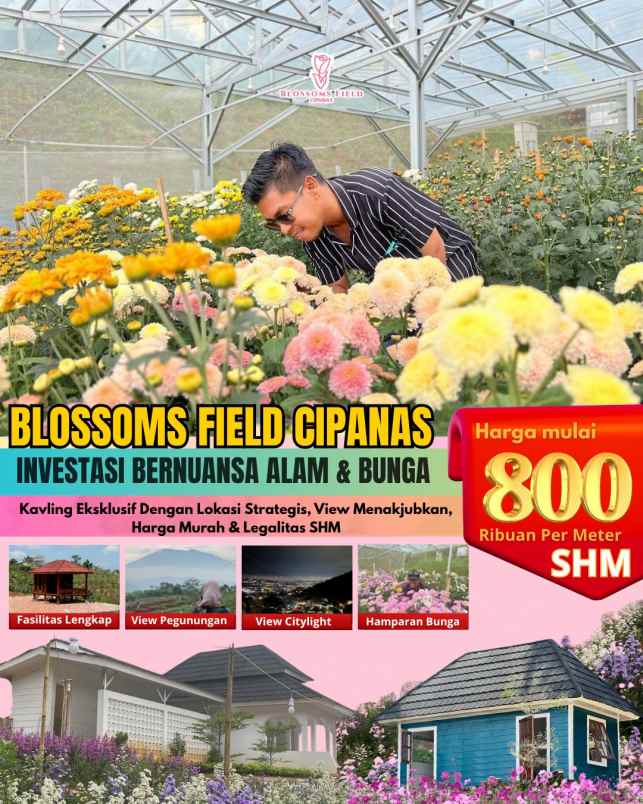 tanah kavling investasi di sukaresmi cianjur