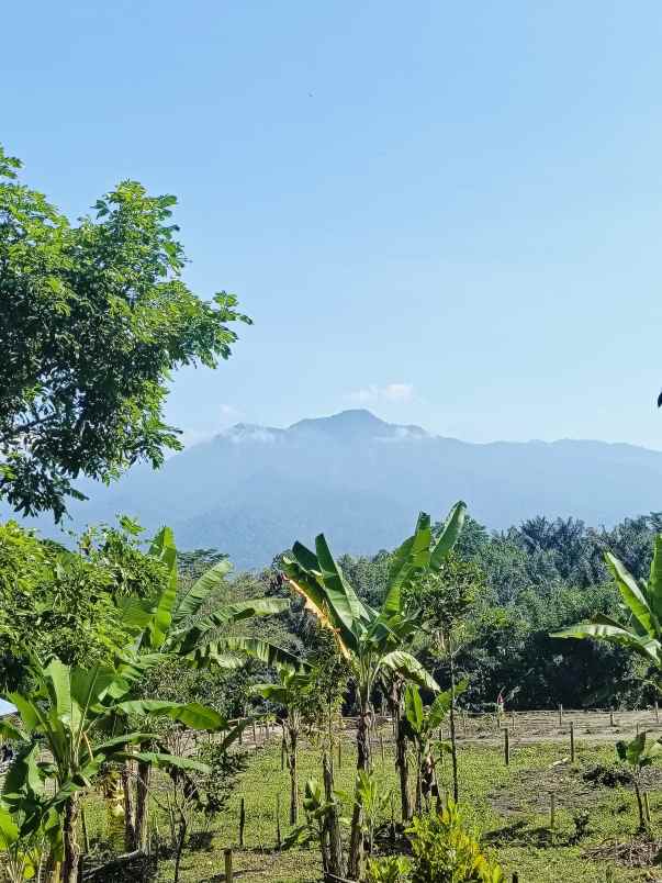 tanah kavling temas lestari