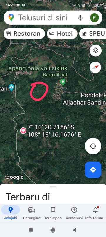 tanah kebun kopi dan cengkeh siap panen