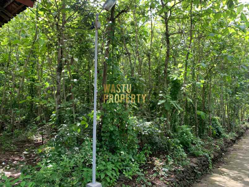 tanah luas murah hanya 5 menit dari puskesmas pajangan