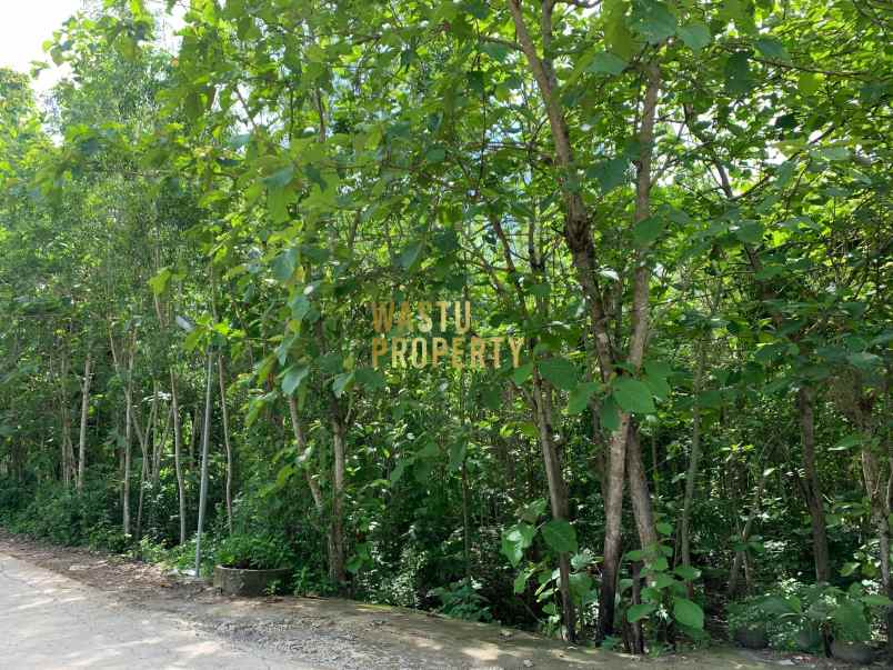 tanah luas murah hanya 5 menit dari puskesmas pajangan