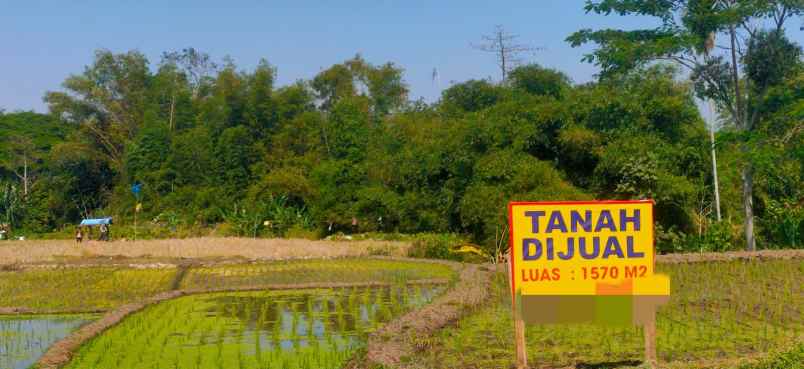 tanah luas sangat murah strategis di singosari malang