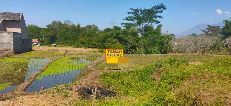 tanah luas sangat murah strategis di singosari malang