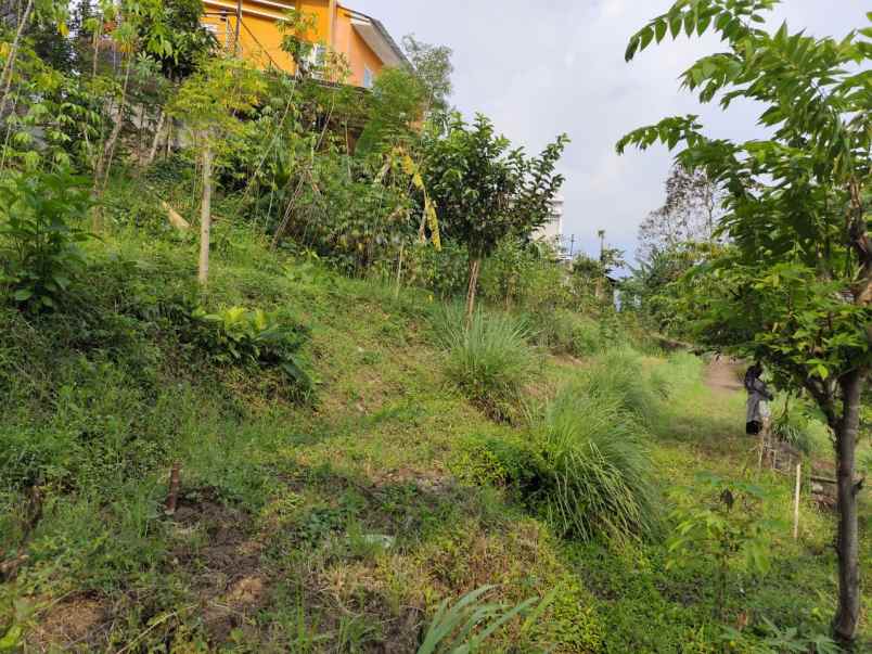 tanah murah untuk perkebunan di temas batu