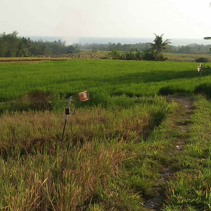 tanah pantai bebali selemadeg