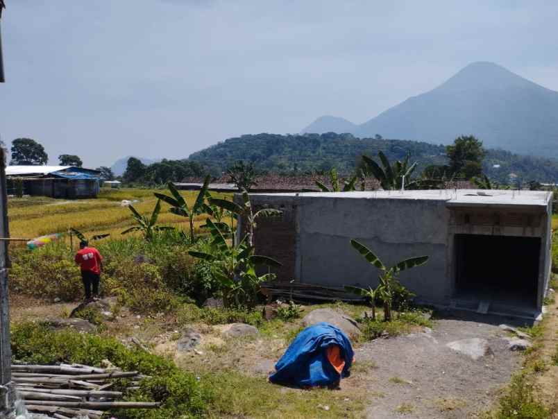 tanah pedesaan di trawas mojokerto view pegunungan