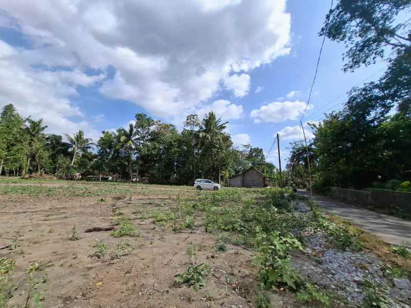 tanah pekarangan murah di margorejo tempel