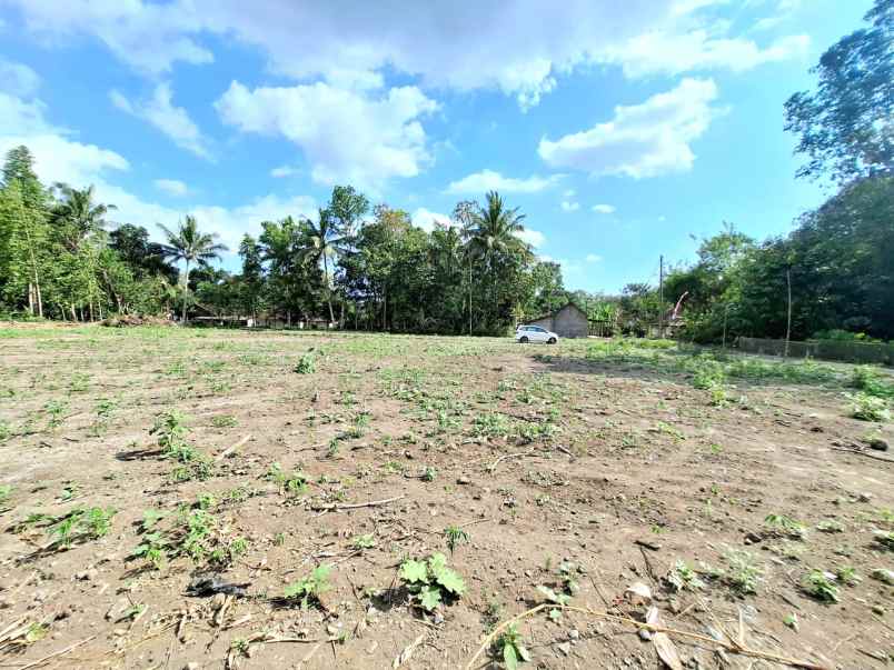 tanah pekarangan murah di margorejo tempel